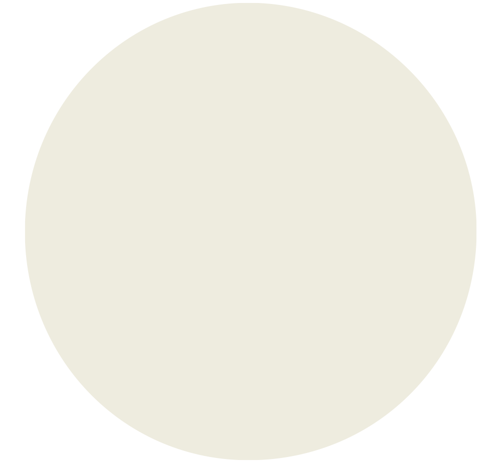 creadora de contenido